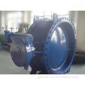 C504 Double Flange Butterfly Valve Double Flange Butterfly Valve Awwa C504 with Gearbox Supplier